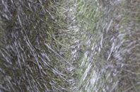 Waringsford fibreglass roof work